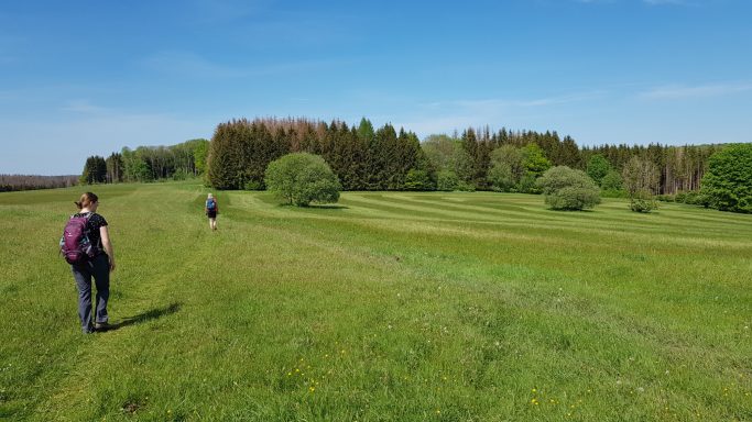 Zwei Wanderer auf einem Wiesenweg