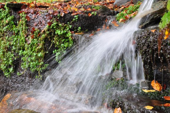 Kleiner Wasserfall an der Somborn-Quelle
