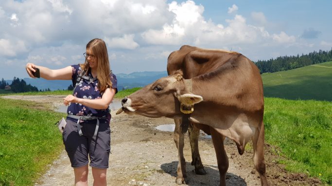 Eine Frau macht ein Selfie mit sich und einer neugierig in die Kamera schauenden Kuh