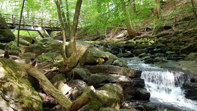 Bach mit kleinem Wasserfall in der Holzbachschlucht. Im Hintergrund ist eine Brücke zu sehen.
